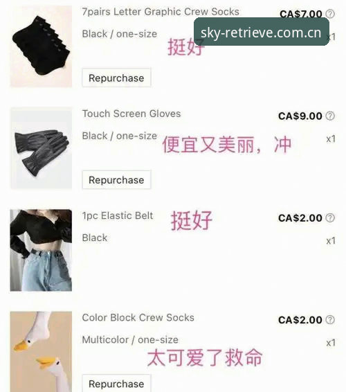 星空体育平台稳定检索无延迟官网2026最新版本使用指南：从吐槽到真香的完整路径